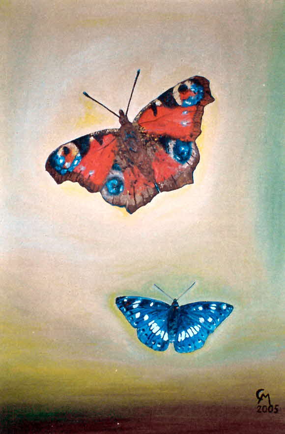 Schmetterlinge - l auf Leinwand - 2005 - 50 x 70 cm - 600 €